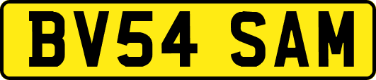 BV54SAM