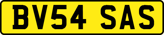 BV54SAS