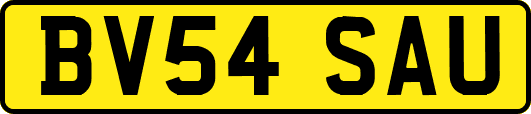 BV54SAU