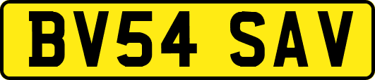 BV54SAV