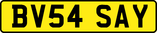 BV54SAY