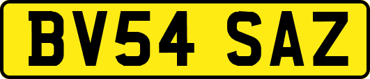 BV54SAZ