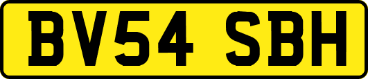 BV54SBH