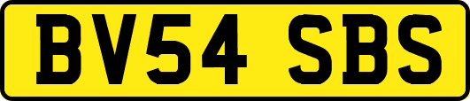 BV54SBS