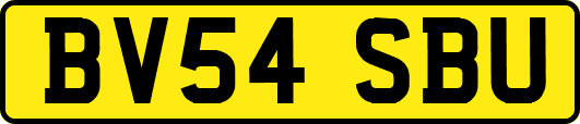 BV54SBU