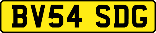 BV54SDG