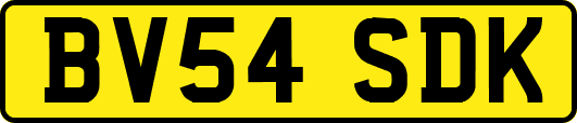 BV54SDK