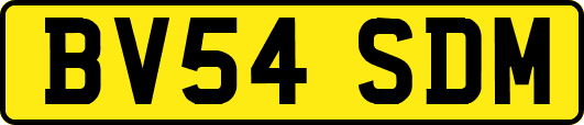 BV54SDM
