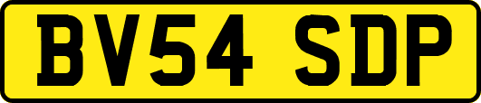 BV54SDP