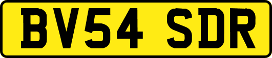 BV54SDR