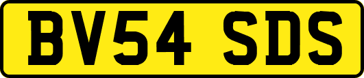 BV54SDS