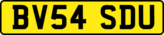 BV54SDU
