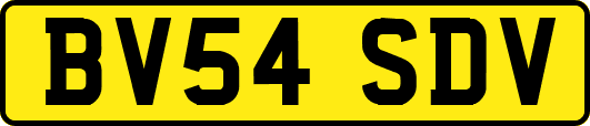 BV54SDV