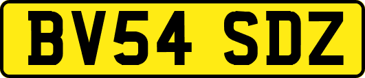 BV54SDZ