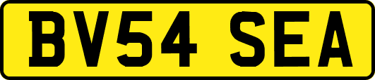 BV54SEA