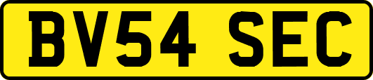BV54SEC