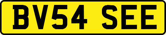 BV54SEE