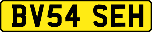 BV54SEH
