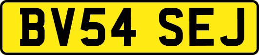 BV54SEJ
