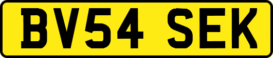 BV54SEK