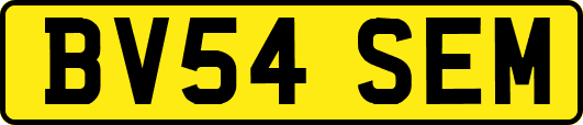 BV54SEM