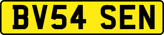 BV54SEN
