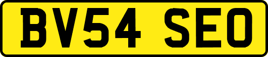 BV54SEO