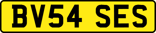 BV54SES