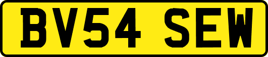 BV54SEW