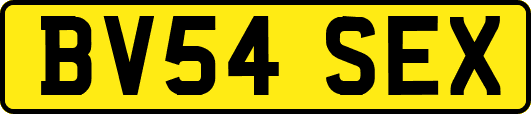 BV54SEX