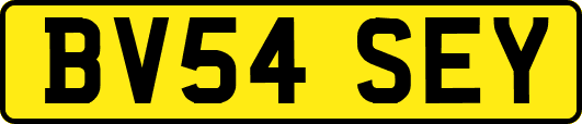 BV54SEY