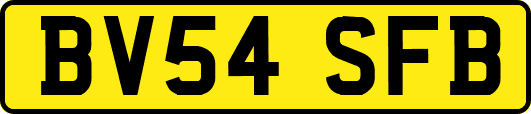 BV54SFB