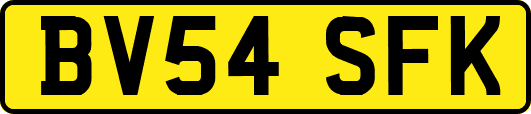 BV54SFK