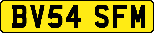 BV54SFM