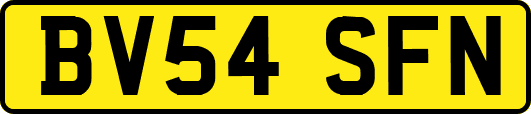 BV54SFN