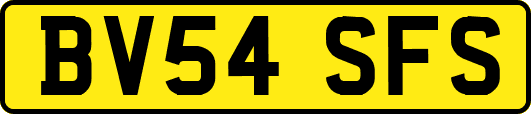 BV54SFS
