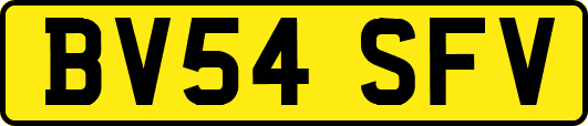 BV54SFV