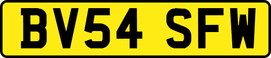 BV54SFW