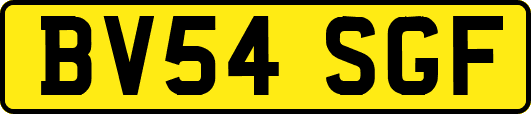 BV54SGF
