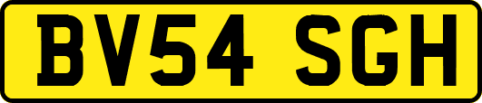 BV54SGH