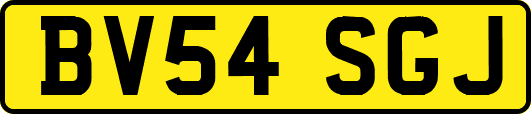 BV54SGJ
