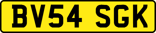 BV54SGK