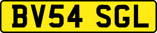 BV54SGL