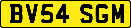 BV54SGM