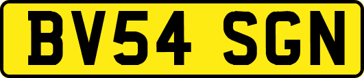 BV54SGN