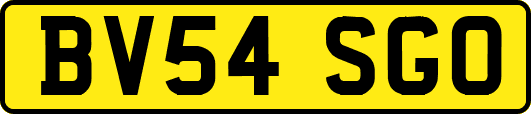 BV54SGO