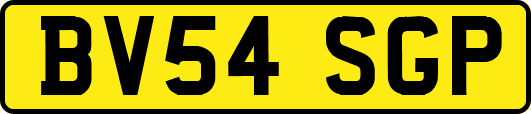 BV54SGP