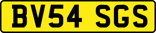 BV54SGS