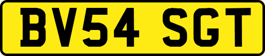 BV54SGT