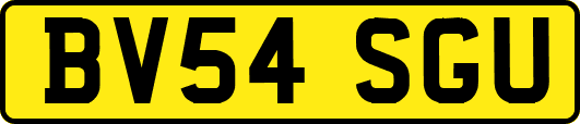 BV54SGU